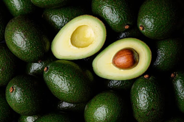 1 ca aguacate