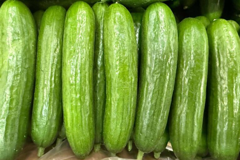 2 inv pepino