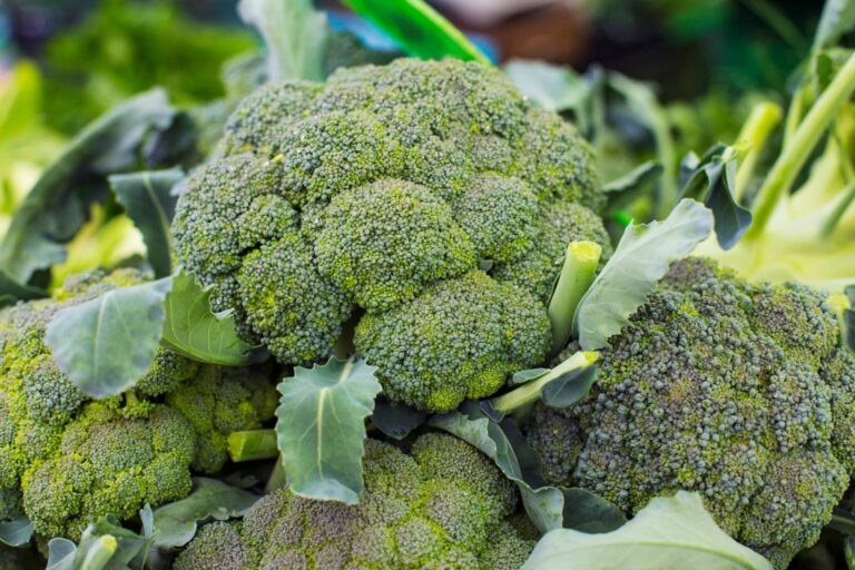 4 ac brocoli
