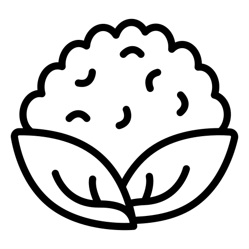 Logo Coliflor