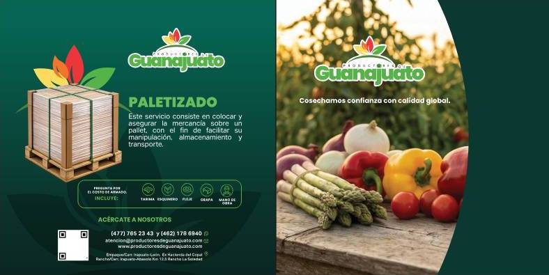 paletizado